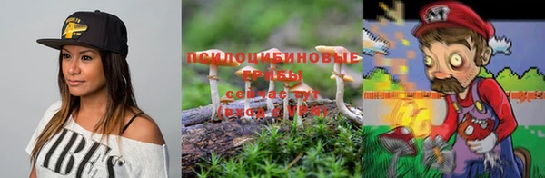 марки lsd Алзамай
