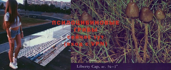 марки lsd Алзамай