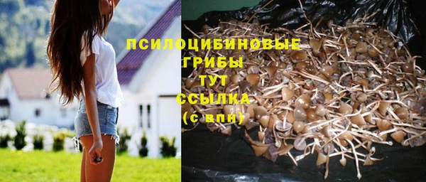 метамфетамин Алексеевка