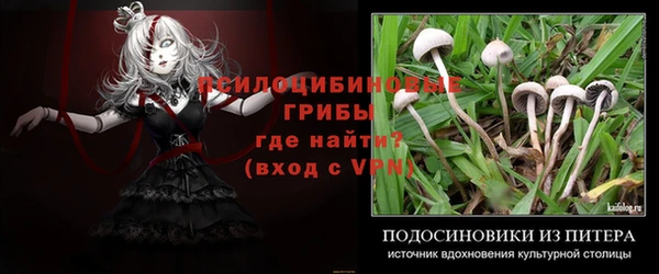 apvp Куйбышев
