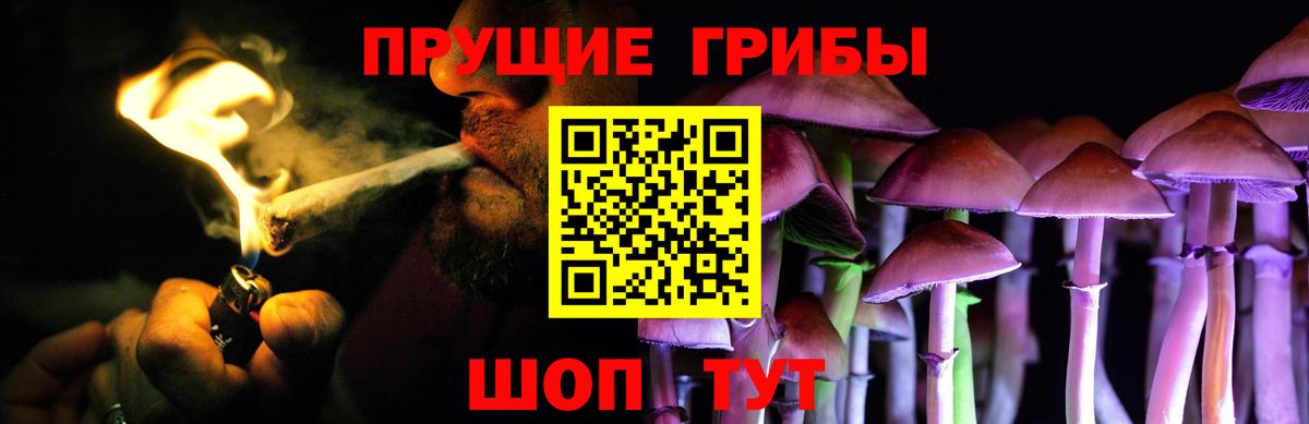 Галлюциногенные грибы GOLDEN TEACHER  Вход с VPN  Коломна 